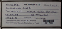 Image Associated With the Occurence